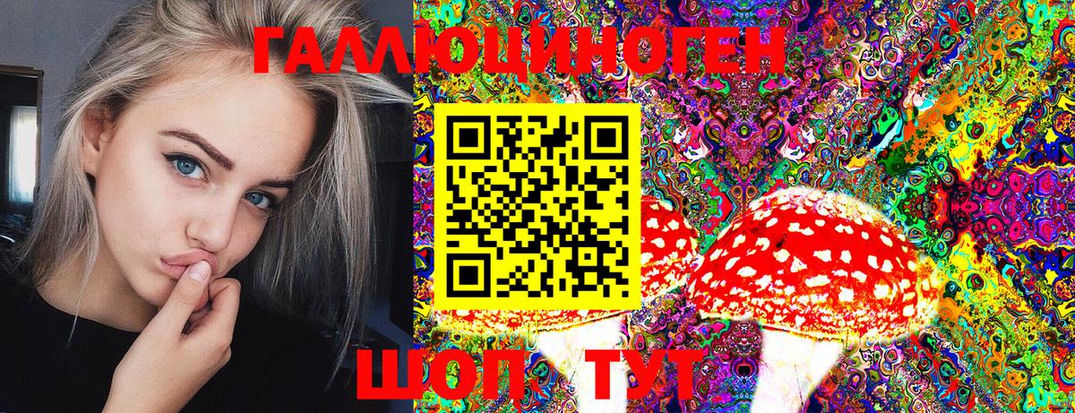 Псилоцибиновые грибы ЛСД Каменка